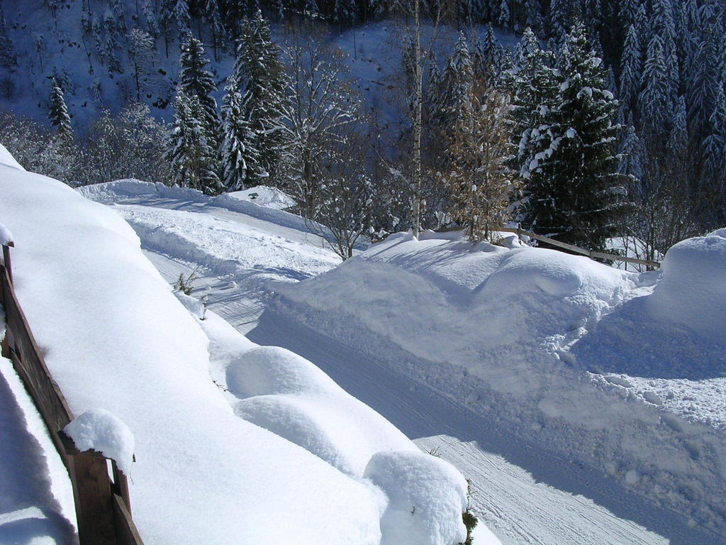 Appartement Oberschernthann Hopfgarten im Brixental Zewnętrze zdjęcie